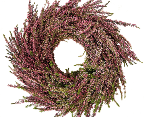 526